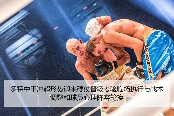 duo-te-zhong-jia-chong-chao-xing-shi-ying-lai-ying-zhang-jin-ji-kao-yan-lin-chang-zhi-xing-yu-zhan-shu-tiao-zheng-he-2-982.jpg